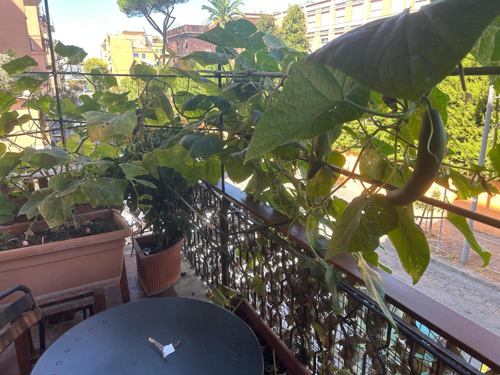 La Fontana Di Carlotta Bed & Breakfast Roma Exterior foto