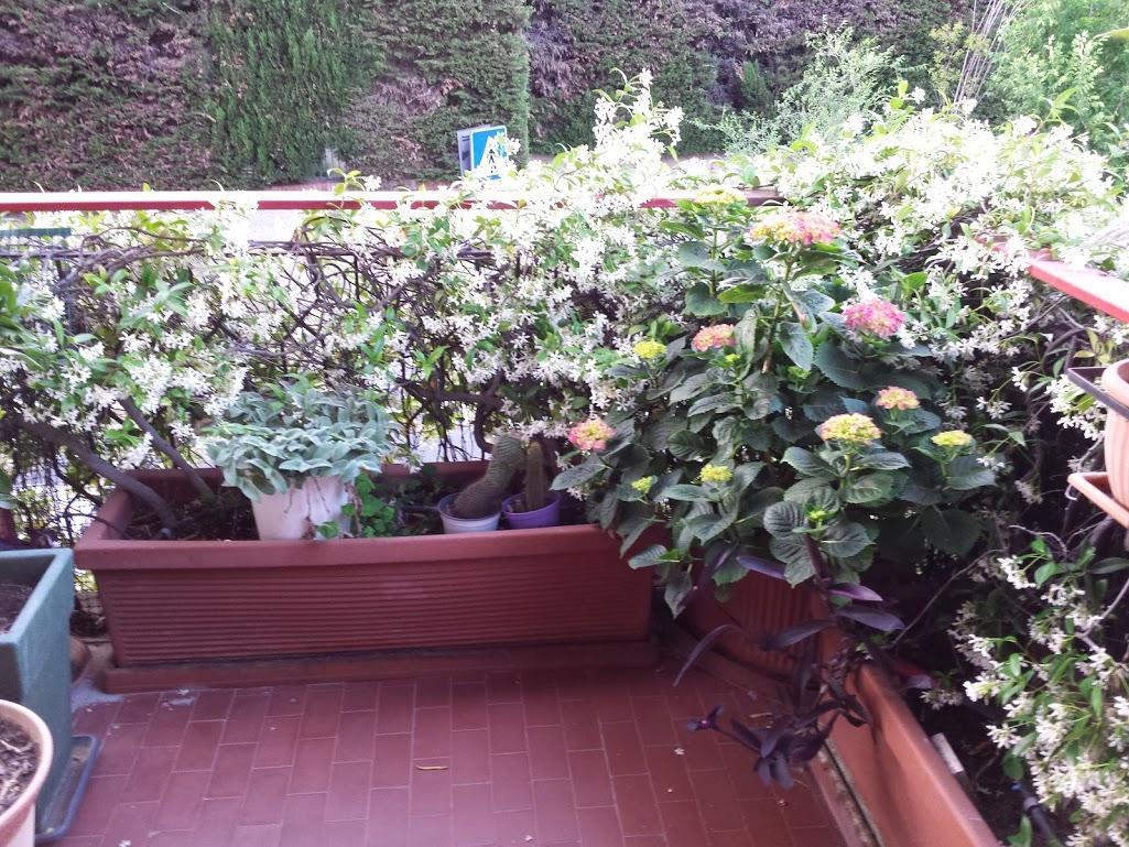 La Fontana Di Carlotta Bed & Breakfast Roma Exterior foto